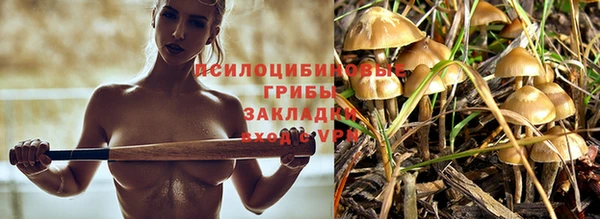 2c-b Вяземский