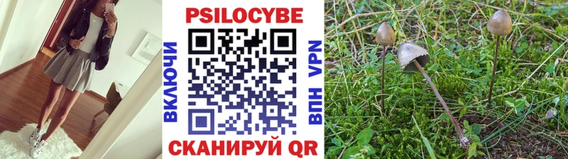 Купить где  Верхотурье  Галлюциногенные грибы MAGIC MUSHROOMS 